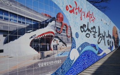 진도모노레일 이미지