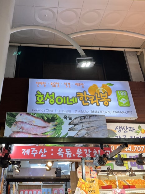호성이네한라봉 이미지