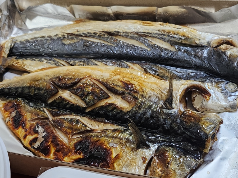땡's고래이모 대표 사진