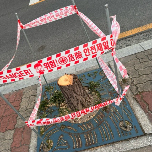 하이탕후루 이미지
