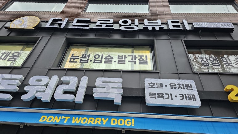 더드로잉뷰티 이미지