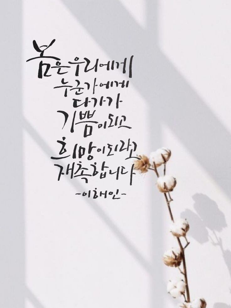 플렉스펜션 이미지