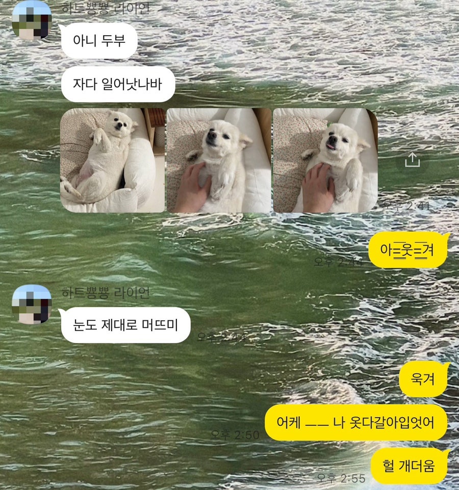 보나뻬띠브레드 이미지
