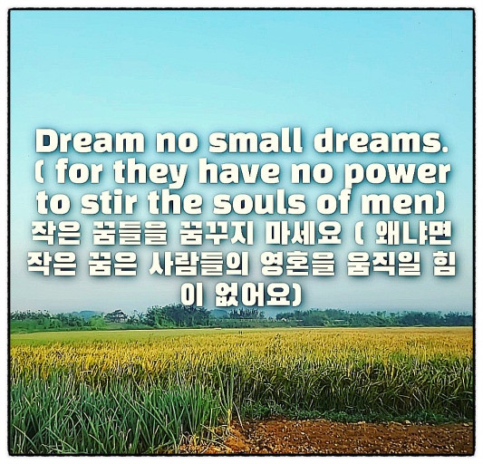 작은꿈들 이미지