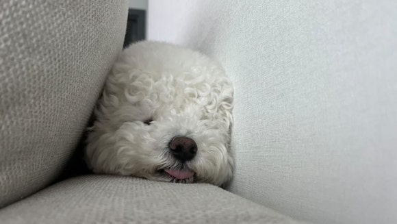 다온재원 이미지