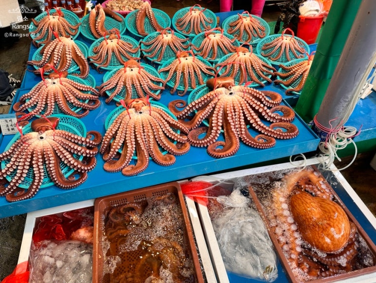 죽천상회 이미지