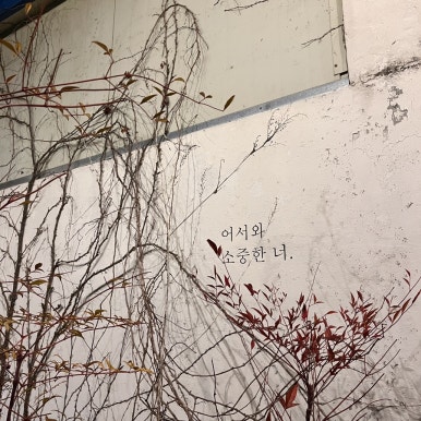 카페더뷰 이미지