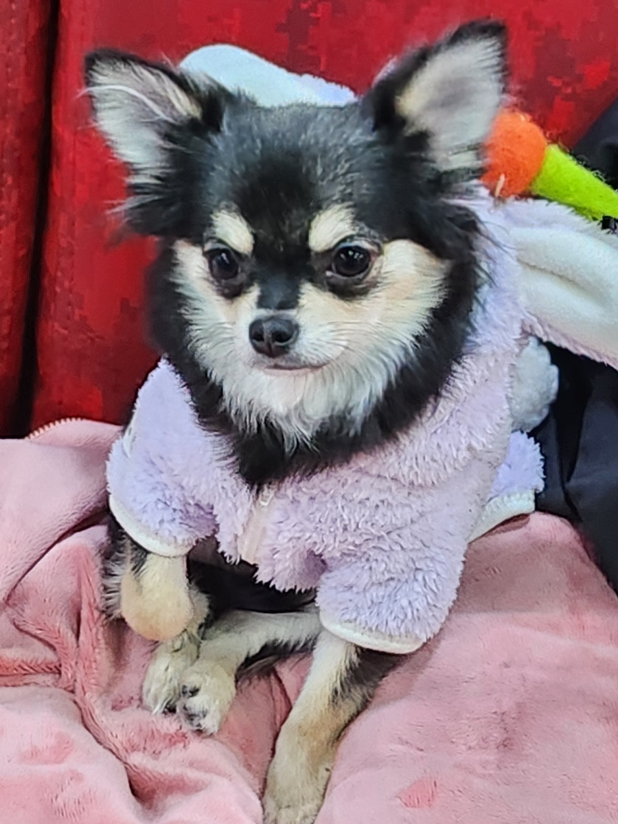 빵주 이미지