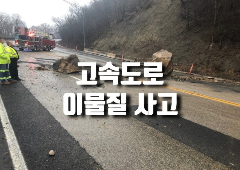 진성행정사사무소 이미지