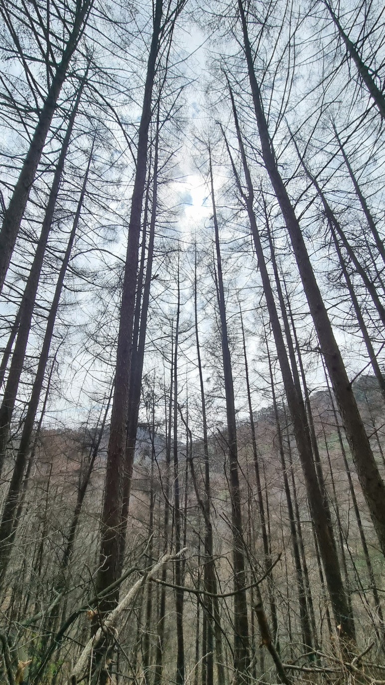 주유소(酒有所) 이미지