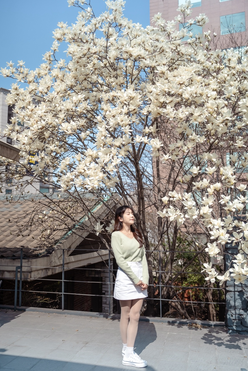 실란트로(주) 이미지