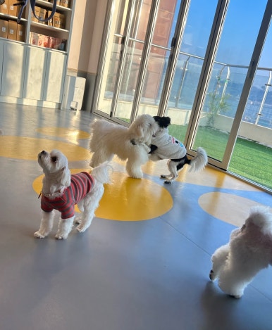 시흥유치원 이미지