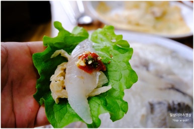 삼화포구 이미지