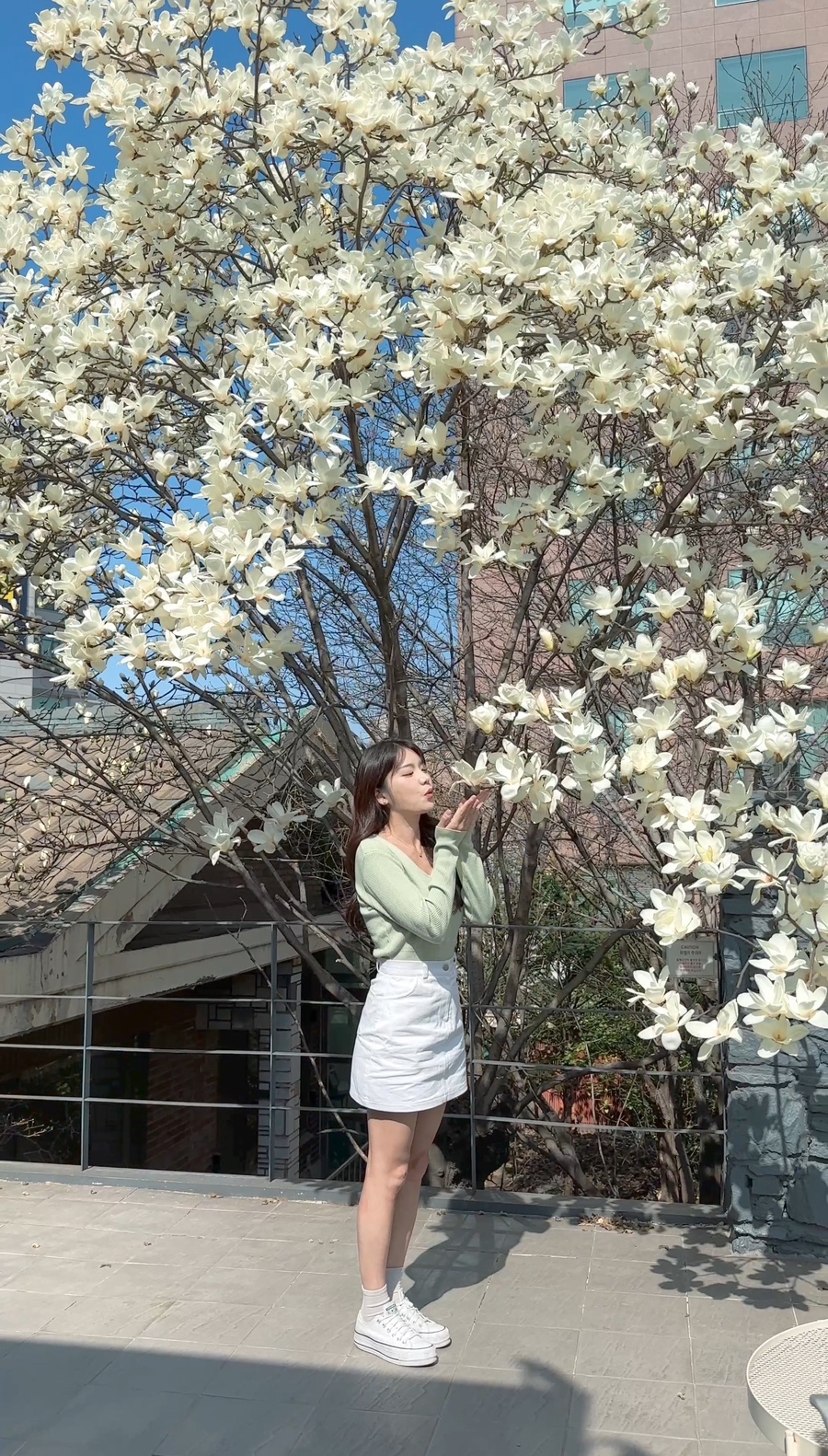 실란트로(주) 이미지