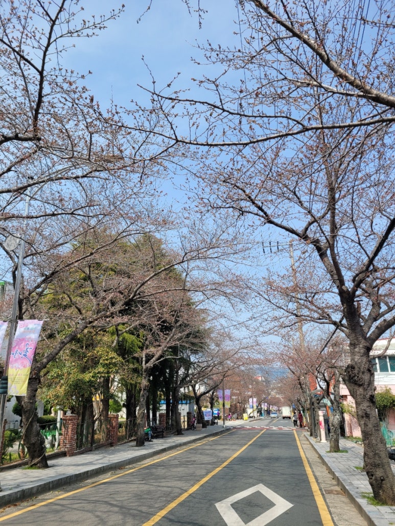 갤러리봉선화 이미지