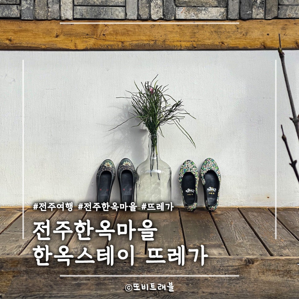 뜨레가 이미지