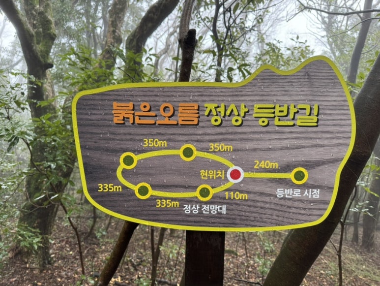 오름라이팅 이미지