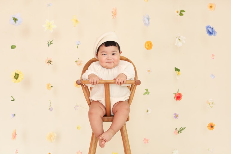 로이레스튜디오 이미지