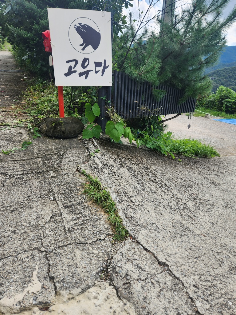 고우다 이미지