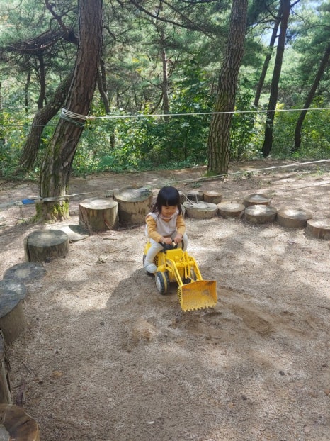 도토리소풍 이미지