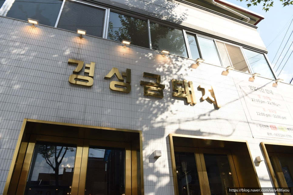 금돼지 이미지
