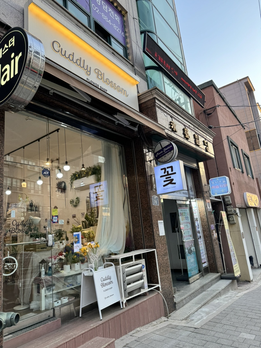 커들리블라썸 이미지