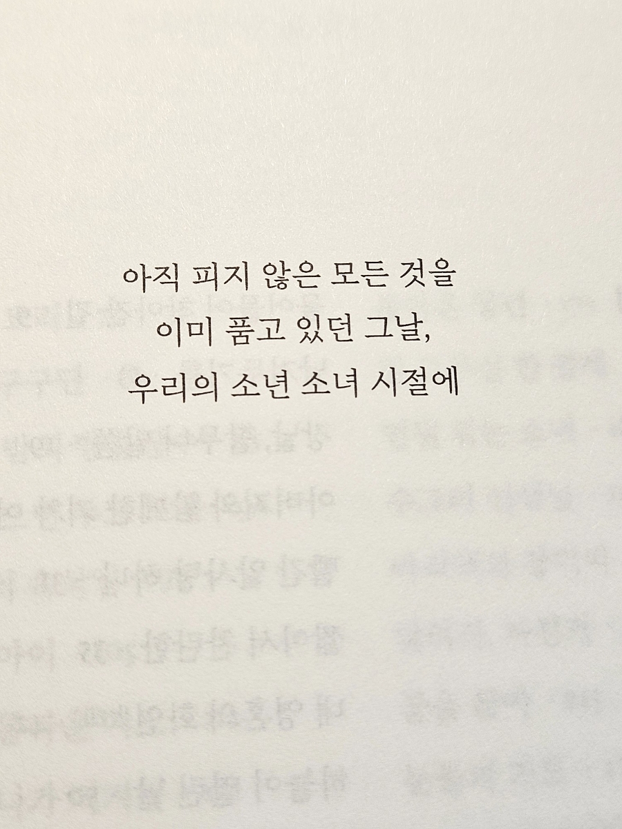 꽃소년 이미지