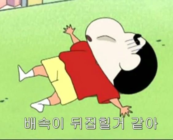 코탈리아 이미지