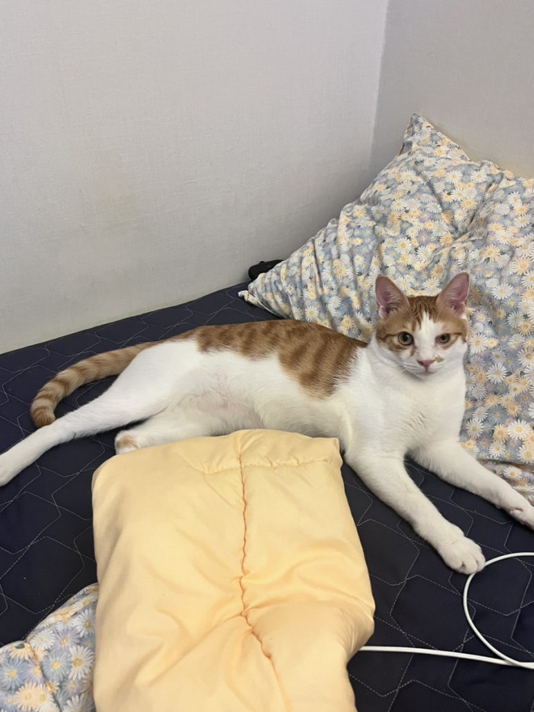 세탁한마당 이미지