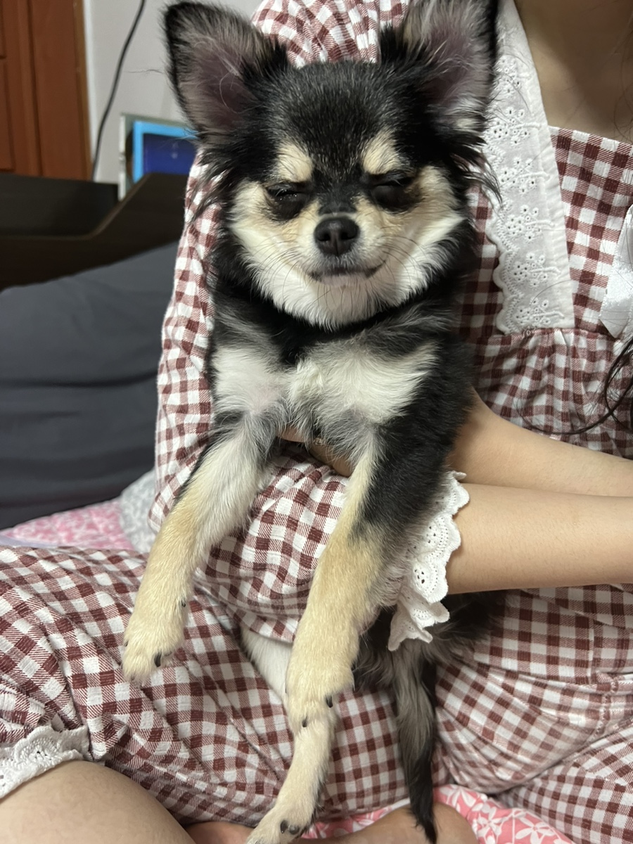 빵주 이미지