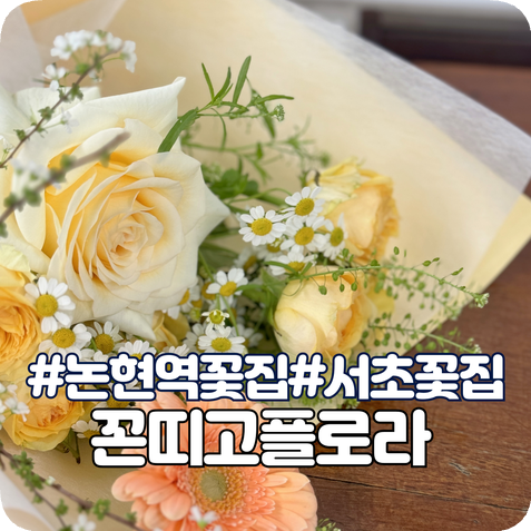 꼰띠고플로라 이미지