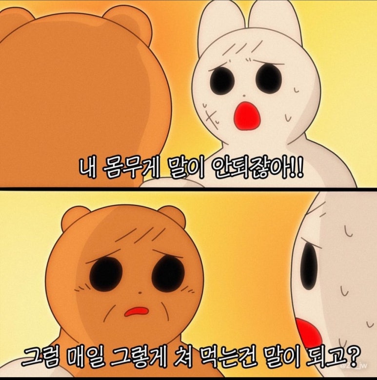 뉴핏 이미지