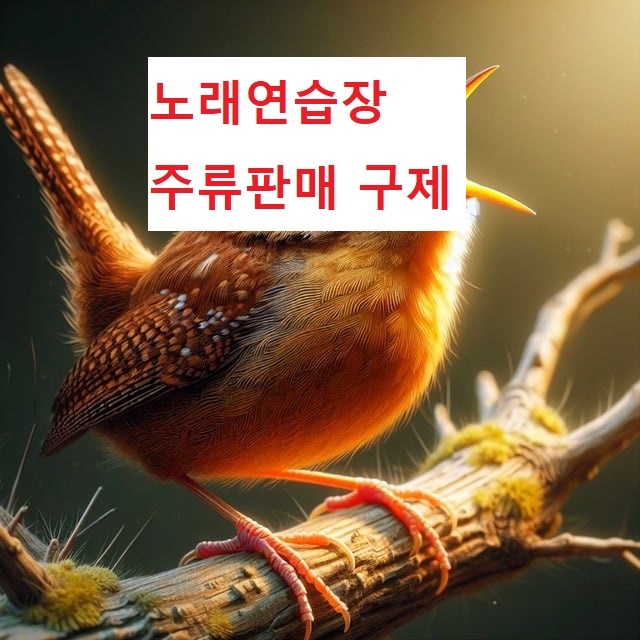 캔노래연습장 이미지