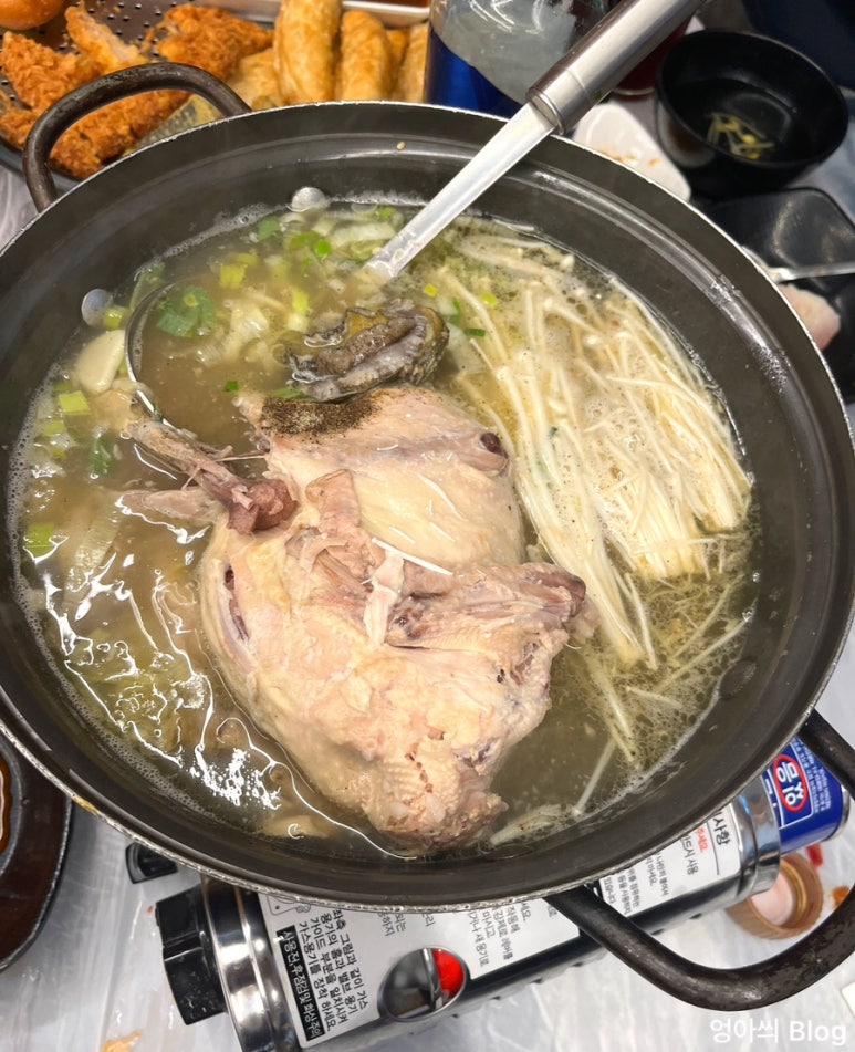 돌고래회 이미지