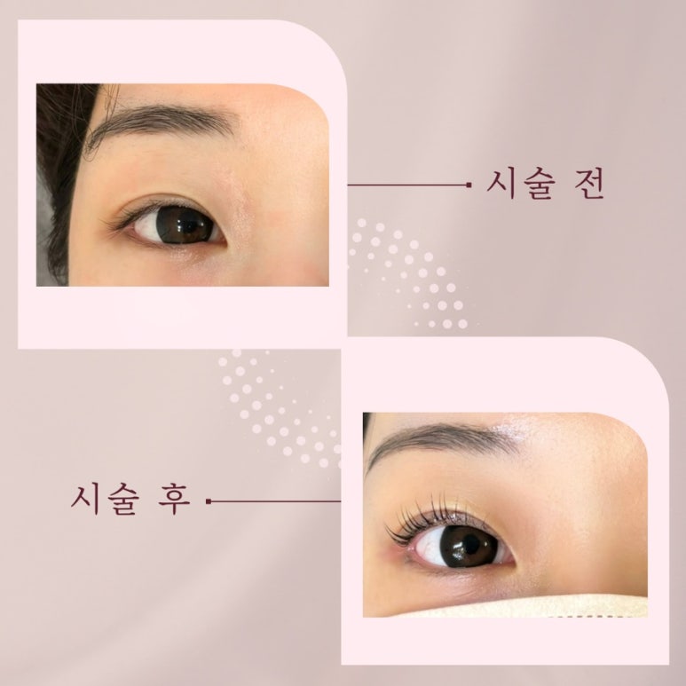 네모 래쉬(NEMO LASH) 이미지