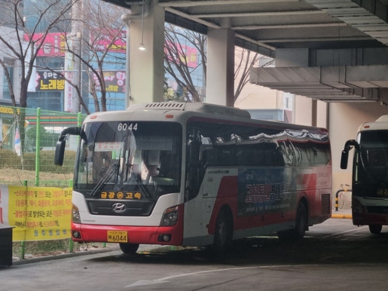 금강신세 이미지