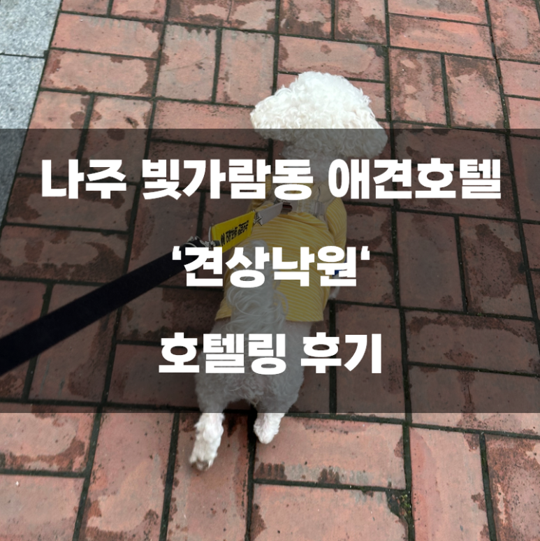 견상낙원 이미지