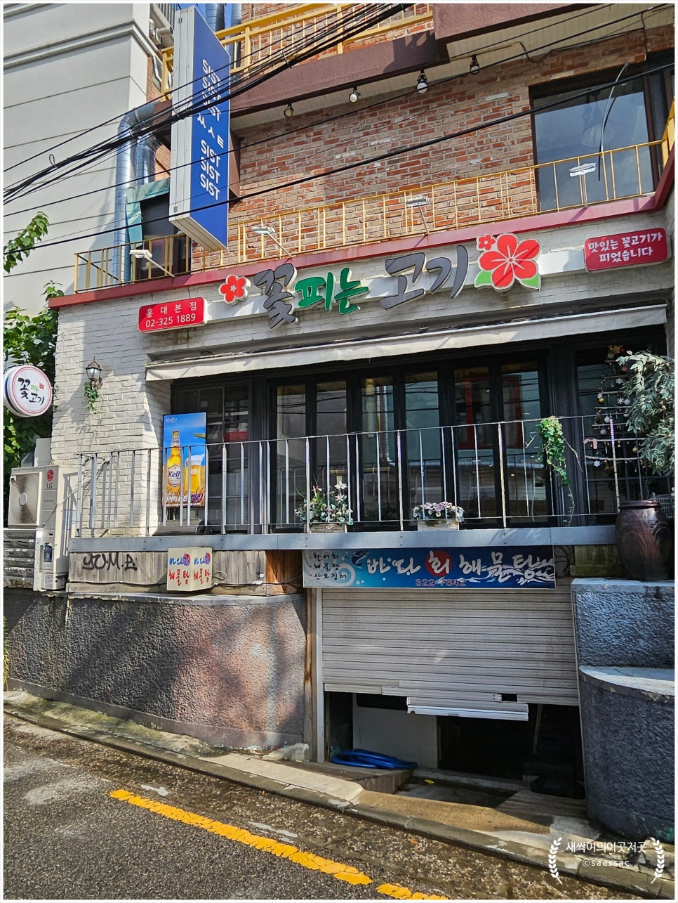 홍대꽃이야기 이미지