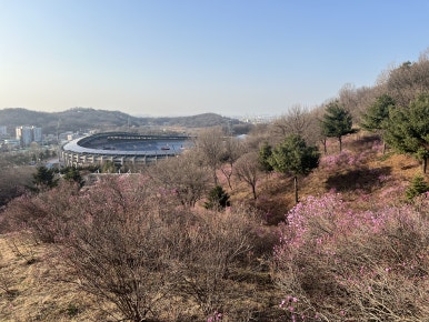 원미장 이미지
