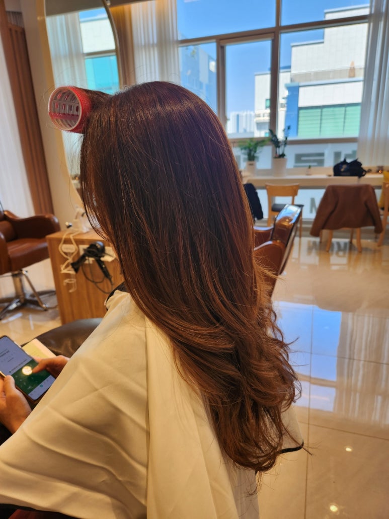 아코하롬헤어양주 이미지