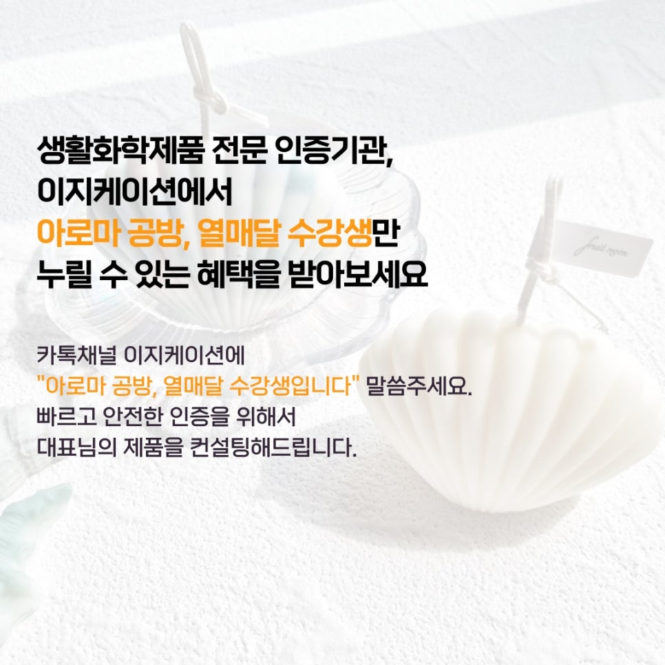 이지케이션(EasyCation) 이미지
