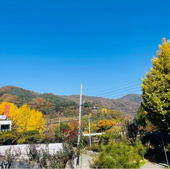머물다삼포 이미지