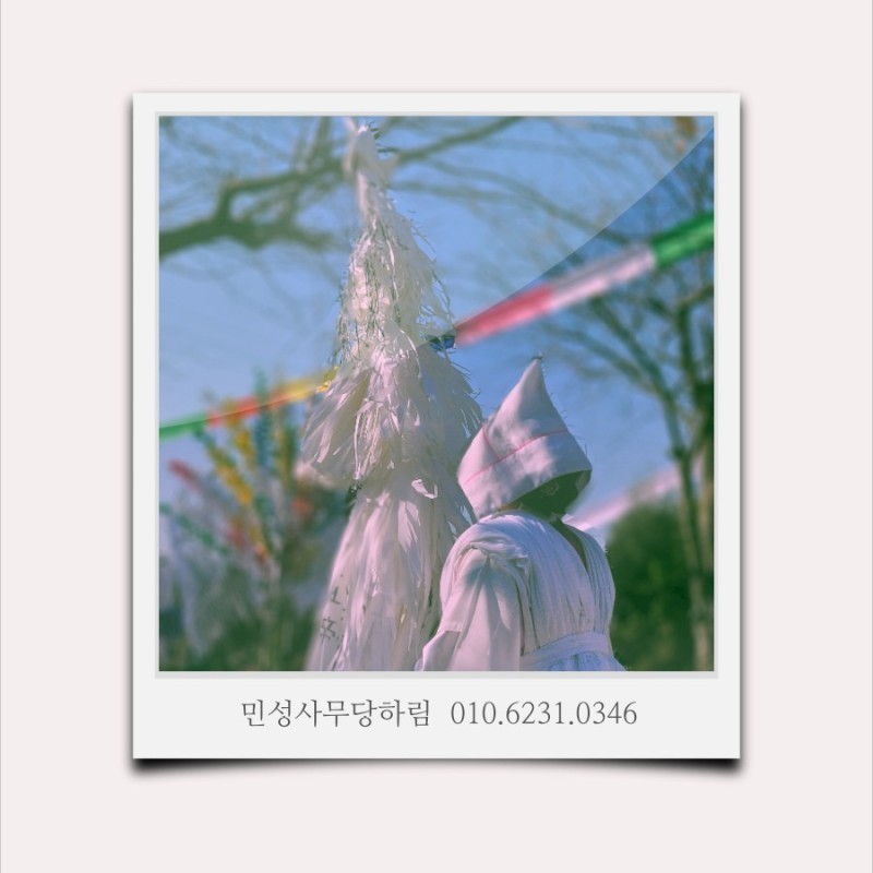 팔도씨드 이미지