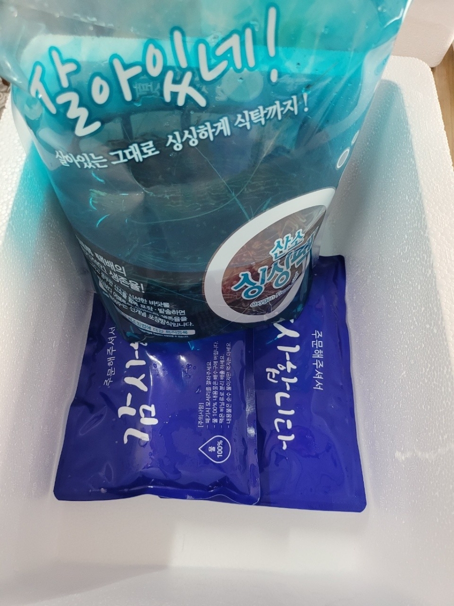 독도꽃새우 이미지