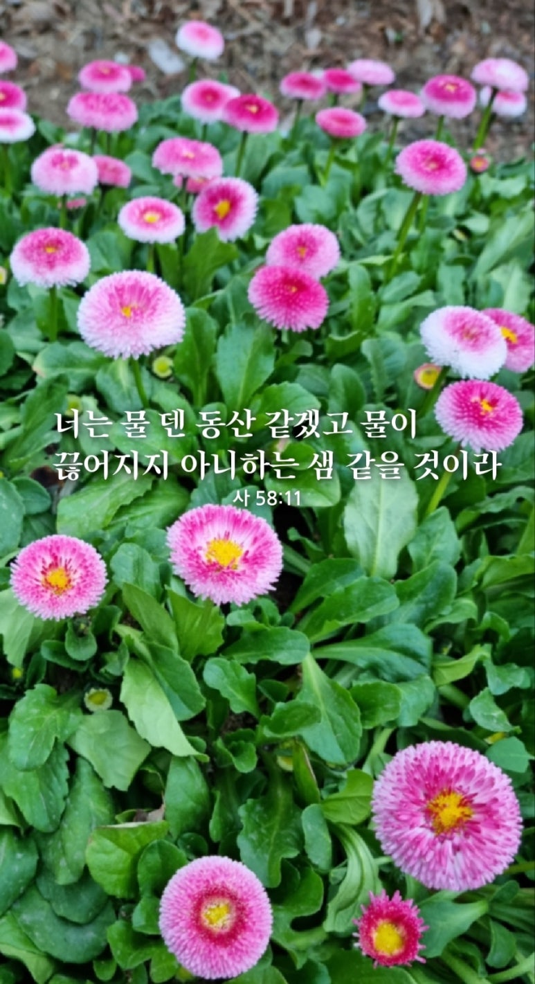 물덴동산 이미지