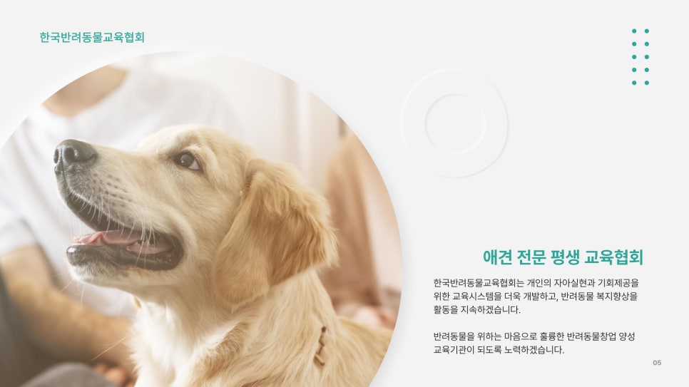 애견학당펫푸드전문학원 이미지
