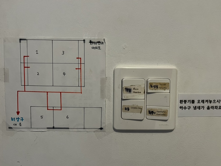 뜨레가 이미지