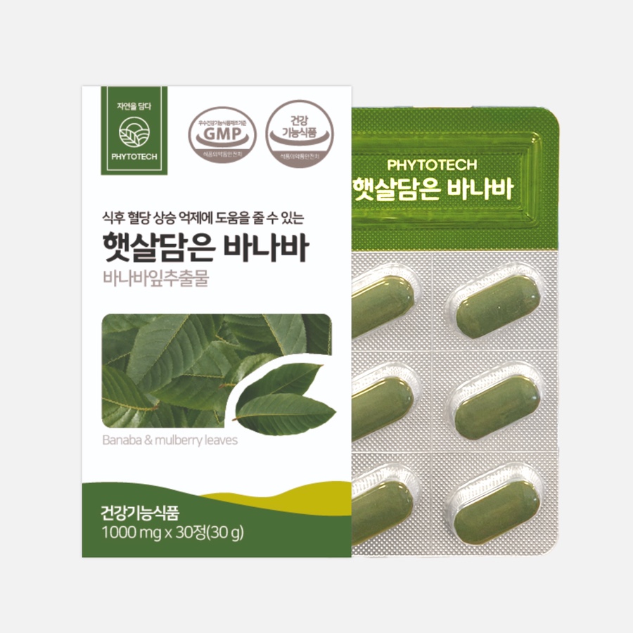 서강컴퍼니 이미지