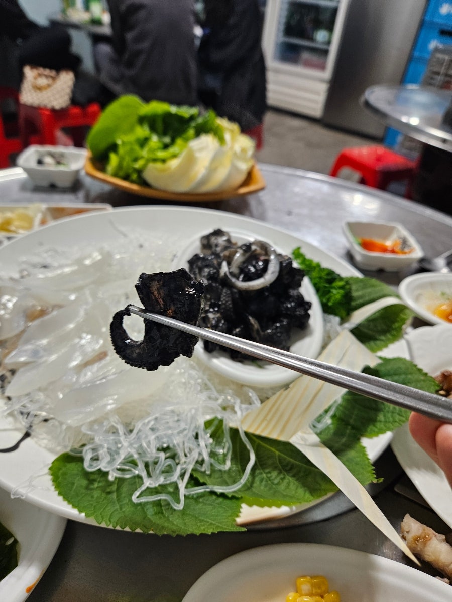 정든가 이미지