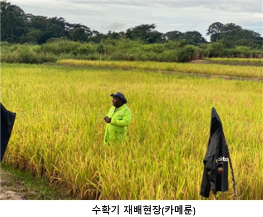 한국농약씨앗 이미지